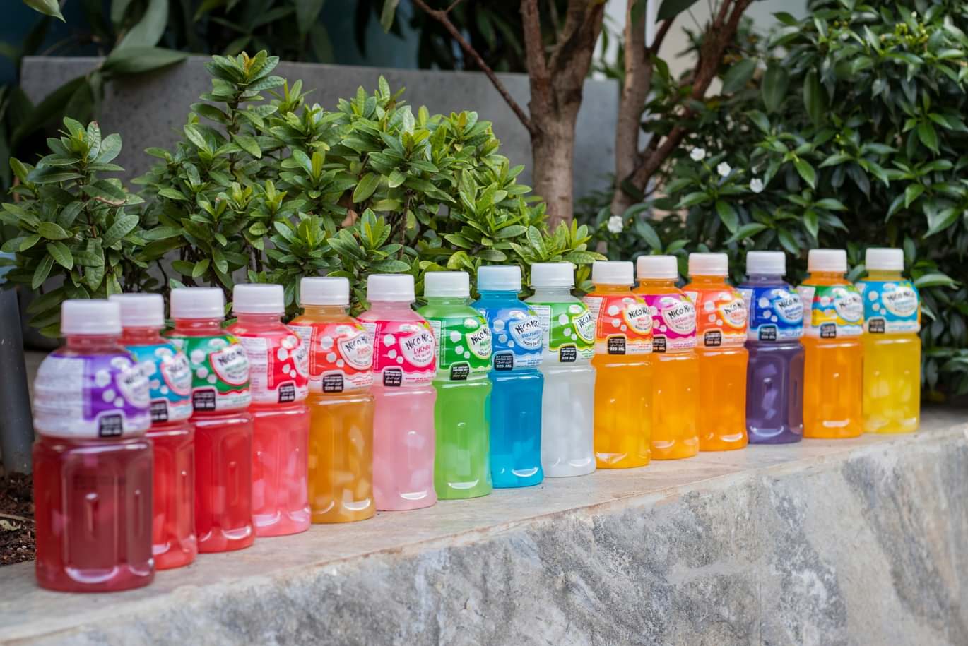 400403135 122117560286063631 2339259933107527697 n - Fresh Bazarpt