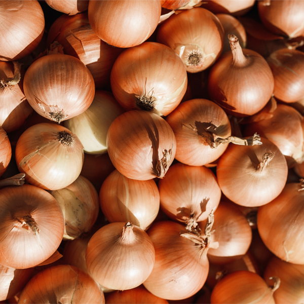 WHITE ONIONS 1 - Fresh Bazarpt