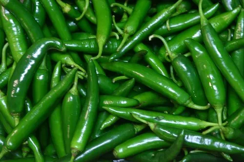 green chilli 1229x jpg 500x500 1 - Fresh Bazarpt